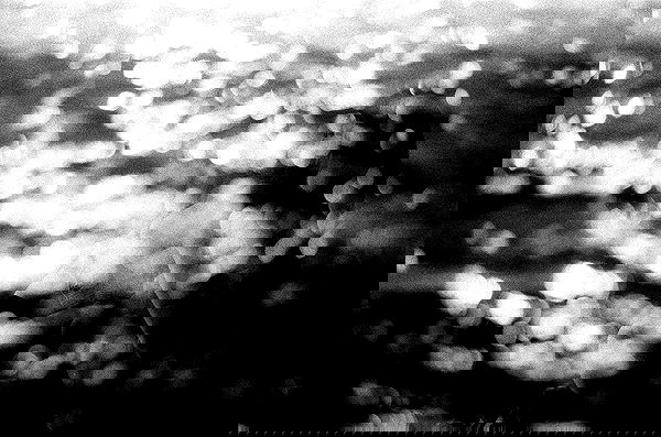 ting851204 ting851204 archive image