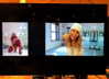 shakira Altpins Profile Picture
