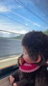 mellisachristiee Altpins Profile Picture