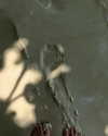 gritsa.k Altpins Profile Picture