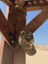 efrat_elmalich Altpins Profile Picture
