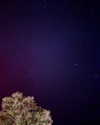 darkstar_mia Altpins Profile Picture