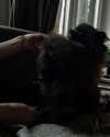 katrina.zaiceva Altpins Profile Picture