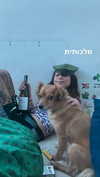 eva.6stuma.com6 Altpins Profile Picture