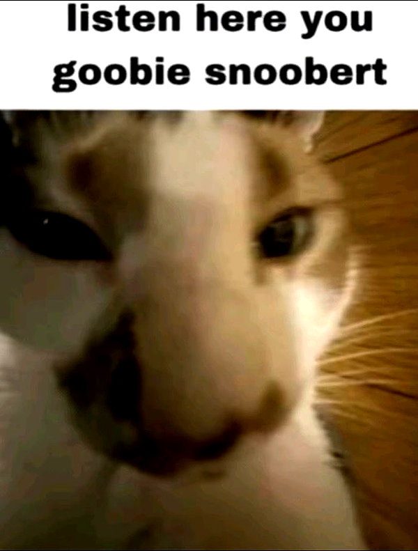 milkibunshehe instagram image archive image