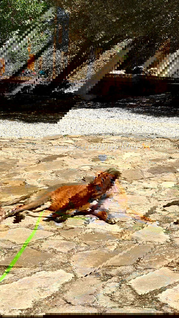 manjolamuriqi manjolamuriqi archive image