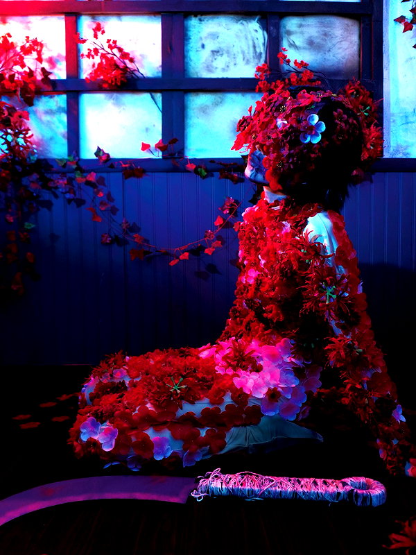 saekkico instagram image archive image