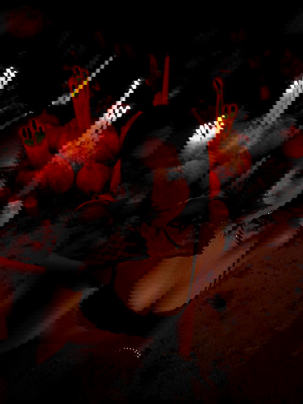 pollcherri pollcherri archive image