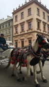 elsgatti Altpins Profile Picture