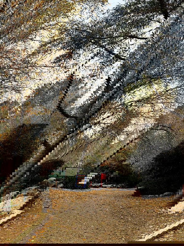 strawberryshanz strawberryshanz archive image