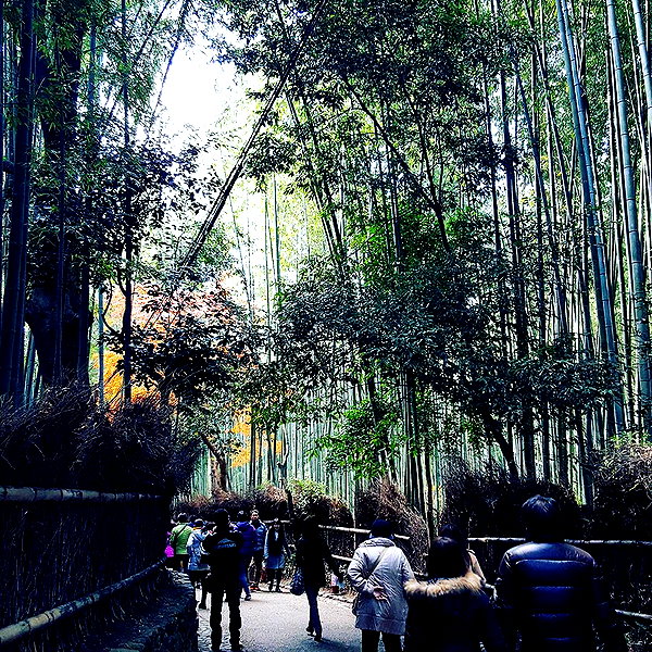 muze instagram image archive image