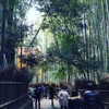 muze Altpins Profile Picture