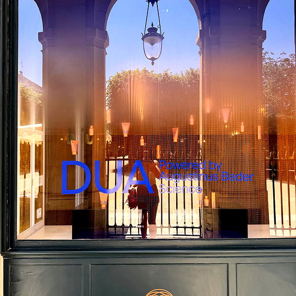 dualipa archive image