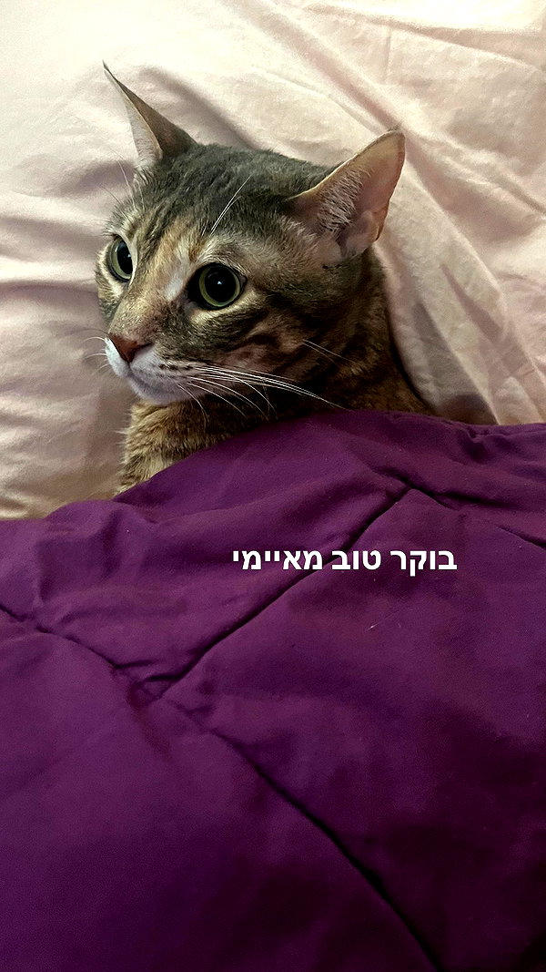 Archived image from @notchicore on Instagram