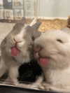 milkiwifey Altpins Profile Picture