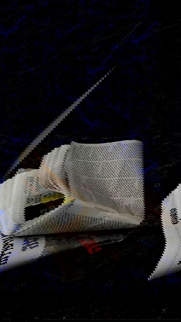 efrat_elmalich efrat_elmalich archive image