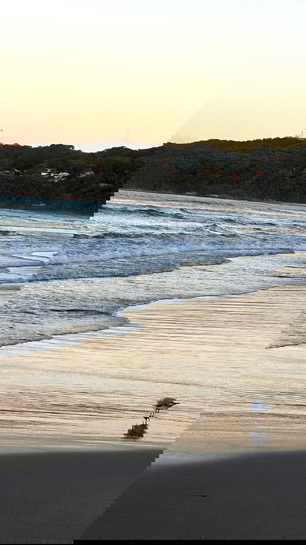 taylor.creeden taylor.creeden archive image