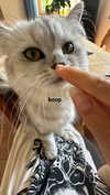 f4iryybl00d Altpins Profile Picture