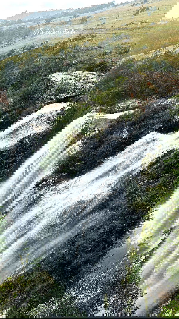 taylor.creeden taylor.creeden archive image