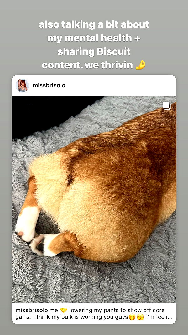 missbrisolo missbrisolo archive image
