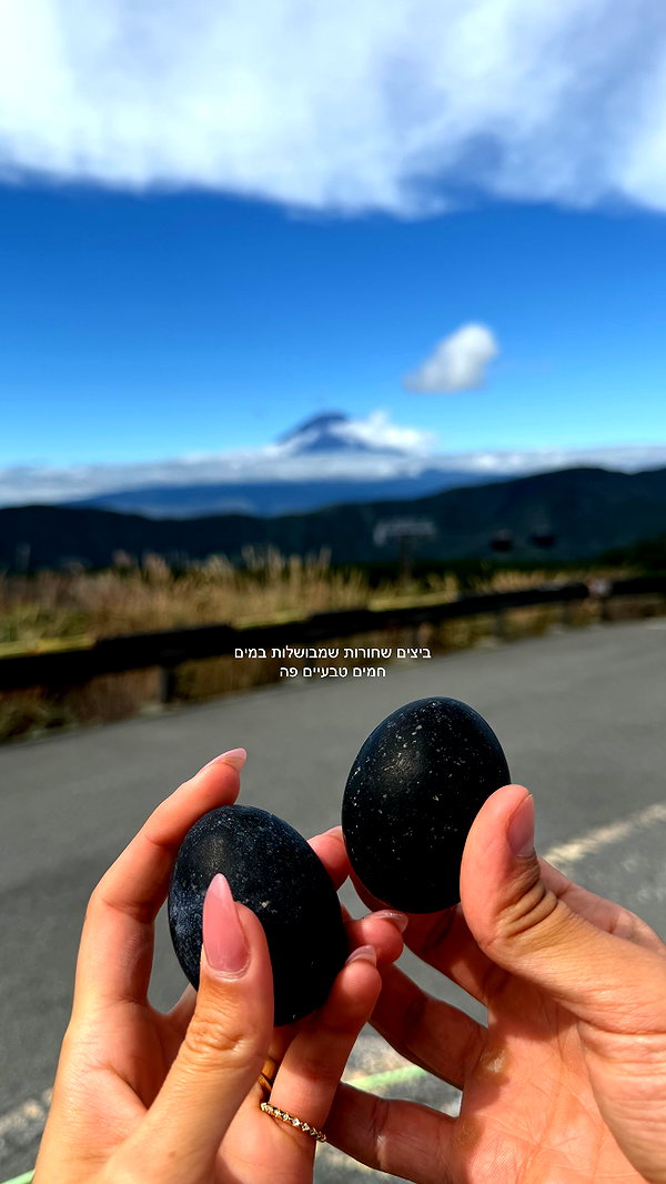 lir.noam instagram image archive image