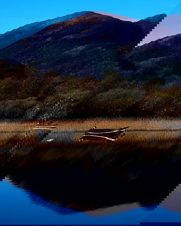 taylor.creeden taylor.creeden archive image