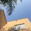 evasela__ Altpins Profile Picture