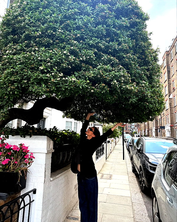 ninastodden instagram image archive image