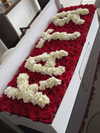 nomagdalina Altpins Profile Picture