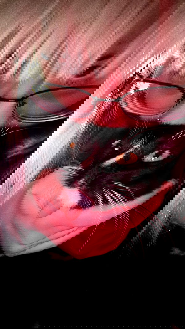 6nattynat9 6nattynat9 archive image