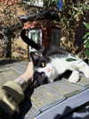 mollieruck Altpins Profile Picture