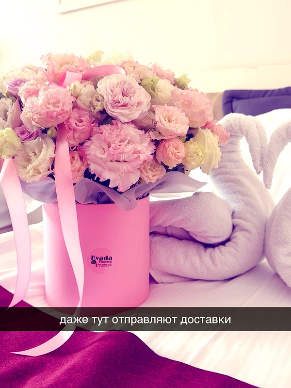 antotkaa instagram image archive image