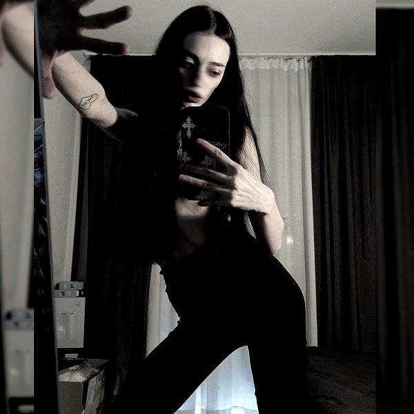 amanitalis instagram image archive image