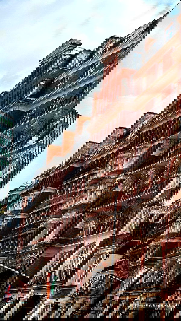 taylor.creeden taylor.creeden archive image