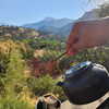 muze Altpins Profile Picture