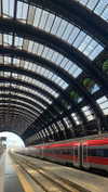 federica.piccinni Altpins Profile Picture