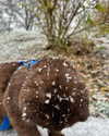 alice_hez Altpins Profile Picture
