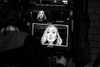adele Altpins Profile Picture