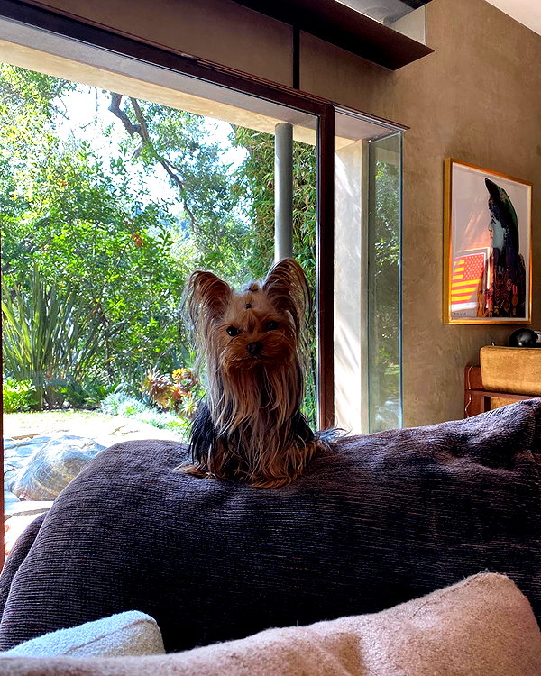 demimoore instagram image archive image