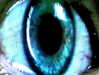 4ndrolomusia Altpins Profile Picture