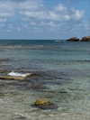 shira_adar_ Altpins Profile Picture