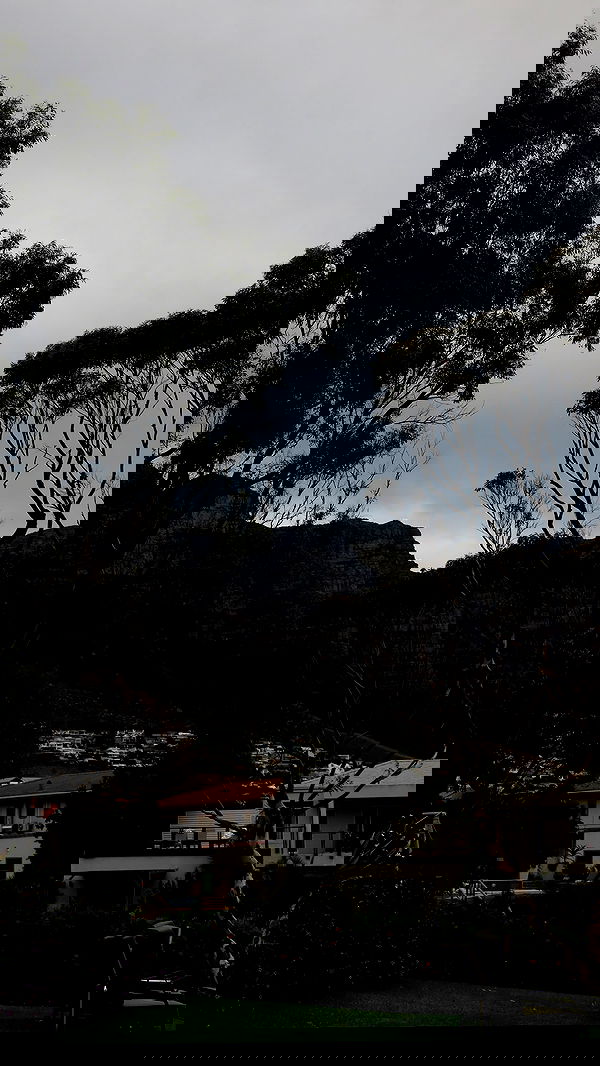 taylor.creeden taylor.creeden archive image