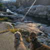 muze Altpins Profile Picture