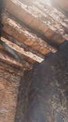 arabelladourado Altpins Profile Picture