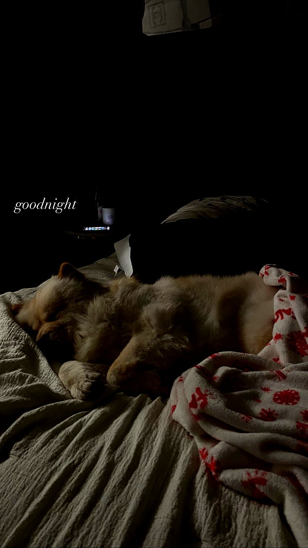 chloerosenbaum instagram image archive image