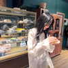 llofreaki Altpins Profile Picture