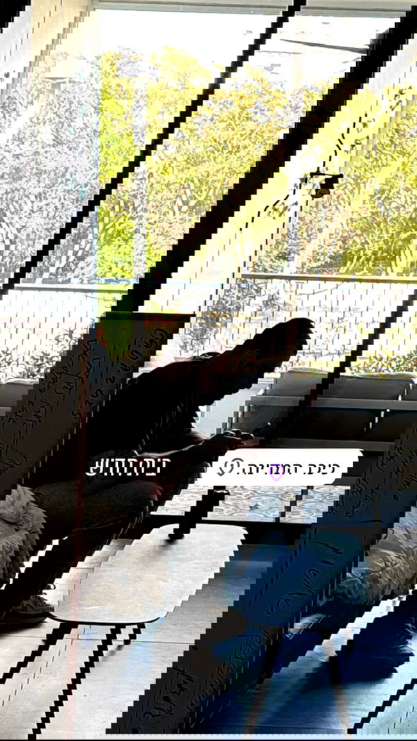 yannaidebeer yannaidebeer archive image