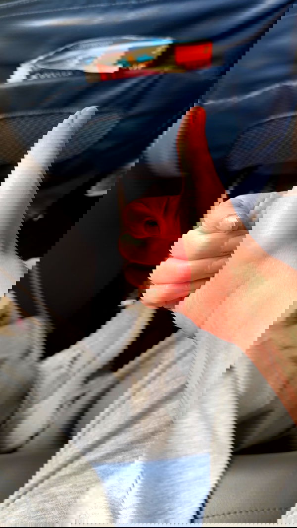 war_hamster6 war_hamster6 archive image