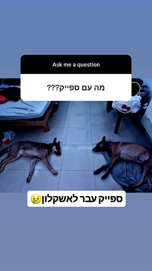 ida.trbl instagram image archive image