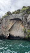 maori_cohen Altpins Profile Picture